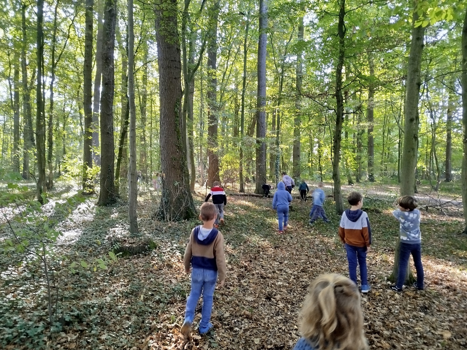 Ein kreativer Tag im Wald – die Klasse 2a bastelt mit Blättern