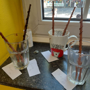 Harry Potter Projekt